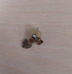 Gestohlener Schmuck.