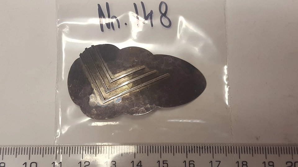 Asservat 148: Brosche